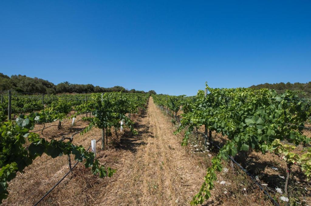 Agroturismo Can Feliu Porreres Eksteriør bilde