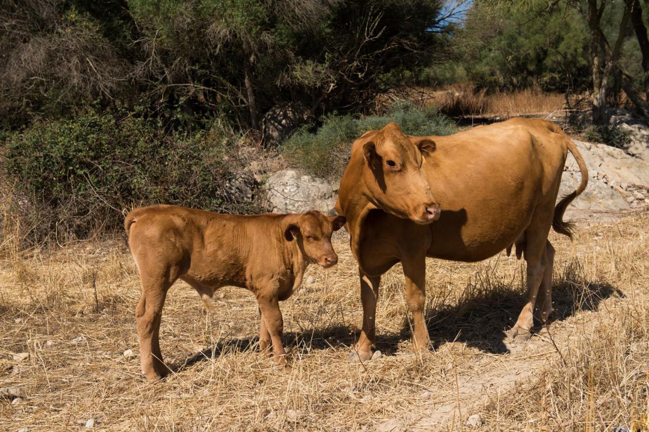 Agroturismo Can Feliu Porreres Eksteriør bilde